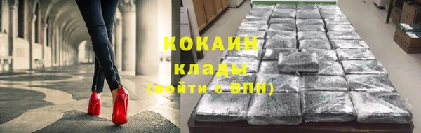 шишки Балахна