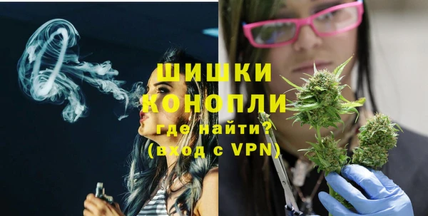 шишки Балахна