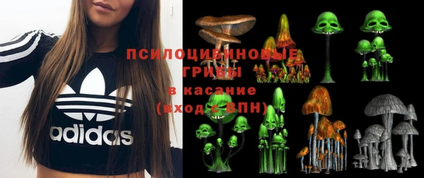 стаф Михайловка