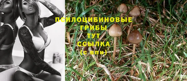 COCAINE Арсеньев